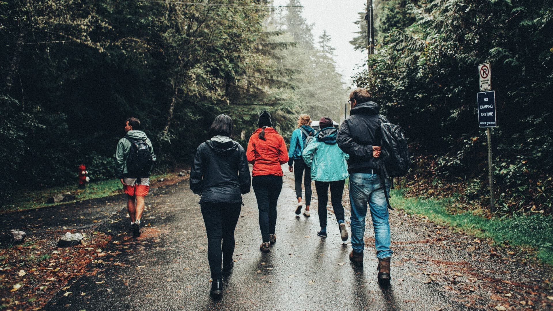 En grupp människor vandrar på en våt väg ut i vildmarken. Symboliserar här en praktiskt aktivitet som människor gör tillsammans.